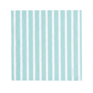 Raidallinen paperilautasliina, aqua (20 kpl)