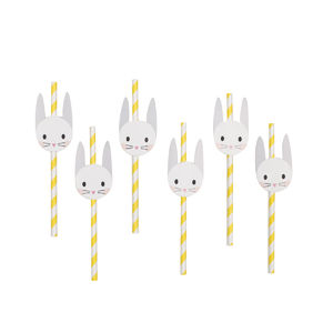 Pikkupuput -paperipillit 12 kpl